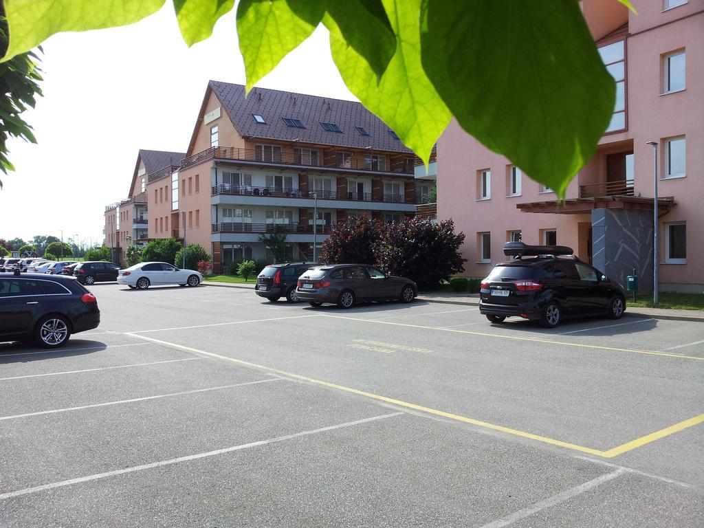 Appartamento Apartmaji Manita Moravske Toplice Esterno foto