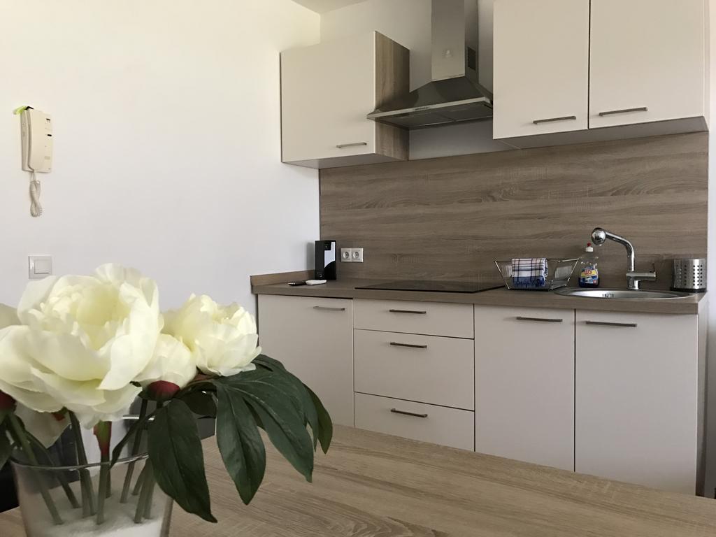 Appartamento Apartmaji Manita Moravske Toplice Esterno foto